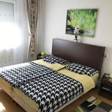 Zen Apartman โซลนอค ภายนอก รูปภาพ
