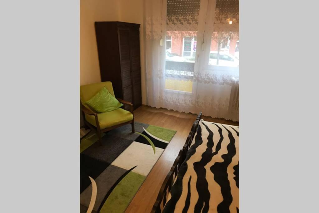 Zen Apartman โซลนอค ภายนอก รูปภาพ
